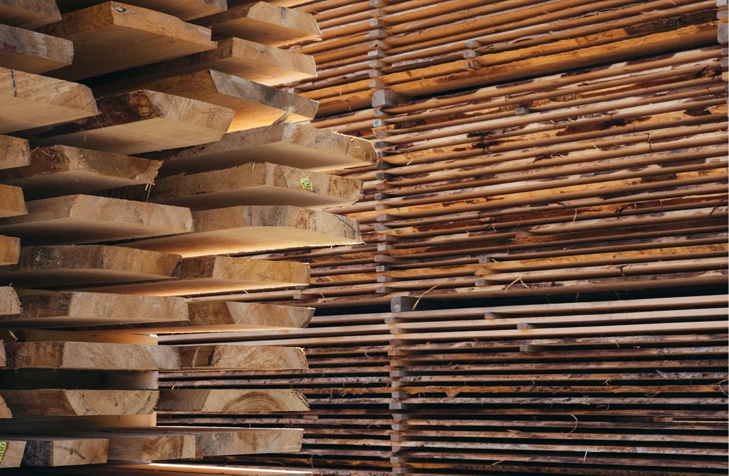 Lựa chọn vật liệu
